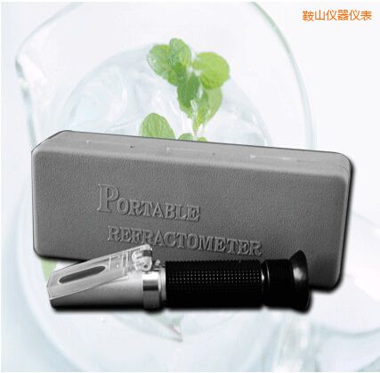 鞍山手持式食鹽/鹽度快速測(cè)定儀