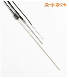 濱州R 型和 S 型標(biāo)準(zhǔn)熱電偶