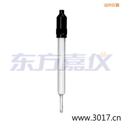 滄州玻璃外殼無溫補兩線電導(dǎo)率電極