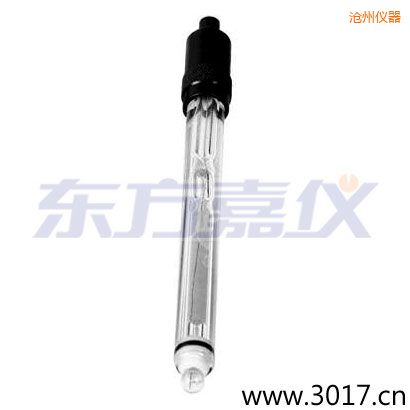 滄州玻璃外殼鉑金環(huán)ORP電極