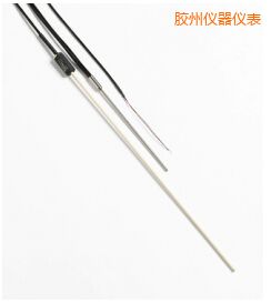 膠州R 型和 S 型標準熱電偶