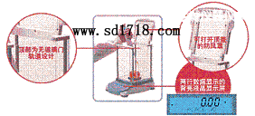 �}�����M����ƽ,810g,0.01g