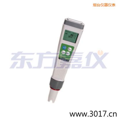 煙臺迷你型筆式氧化還原測試儀